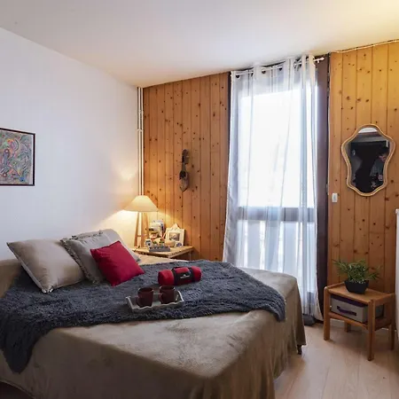 6 Personnes Proche Pistes De Skis Du Pla D'adet - Fr-1-296-384 Appartement *